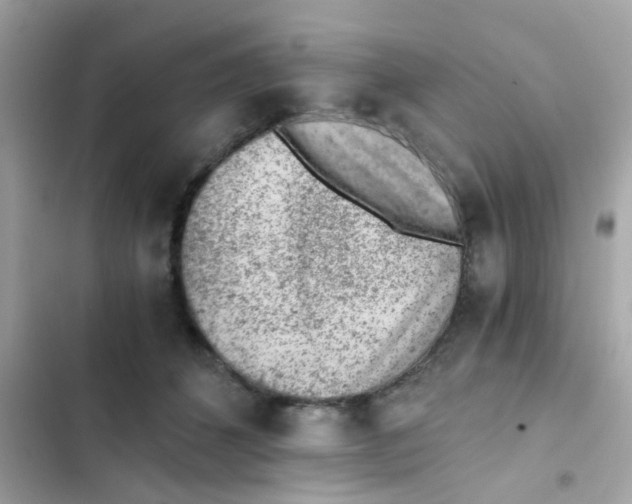 X0000103160512200809192056