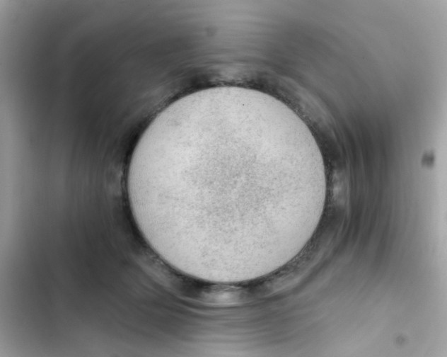 X0000103160514200809192056