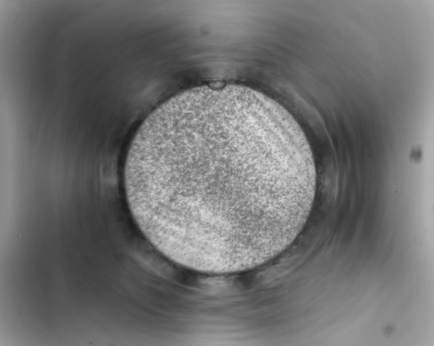 X0000103160516200809192056