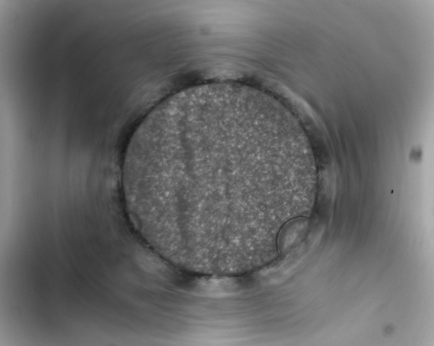 X0000103160517200809192056