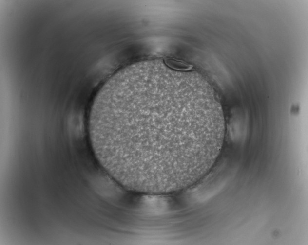 X0000103160520200809192056