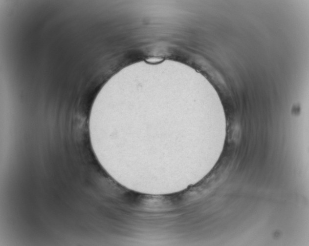 X0000103160521200809192056
