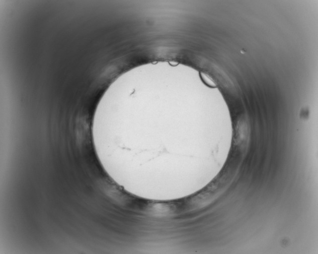 X0000103160522200809192056