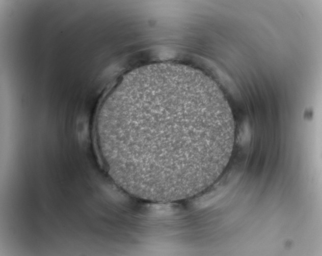 X0000103160524200809192056