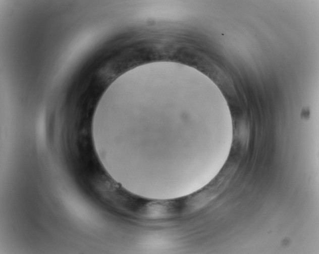 X0000103160526200809192056