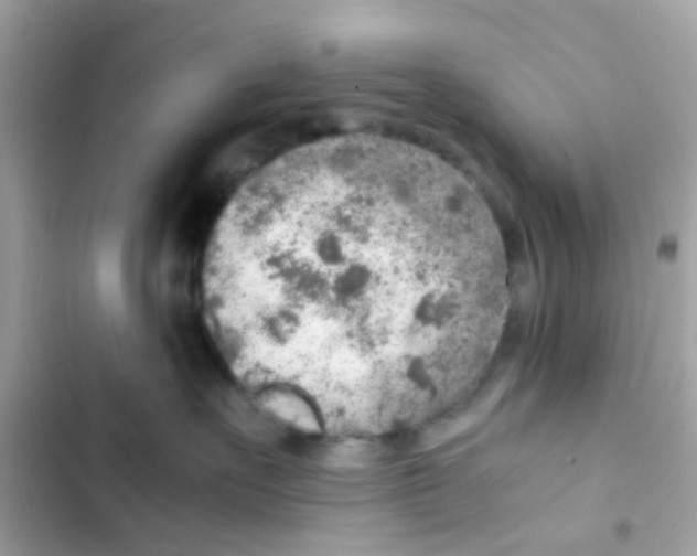 X0000103160527200809192056