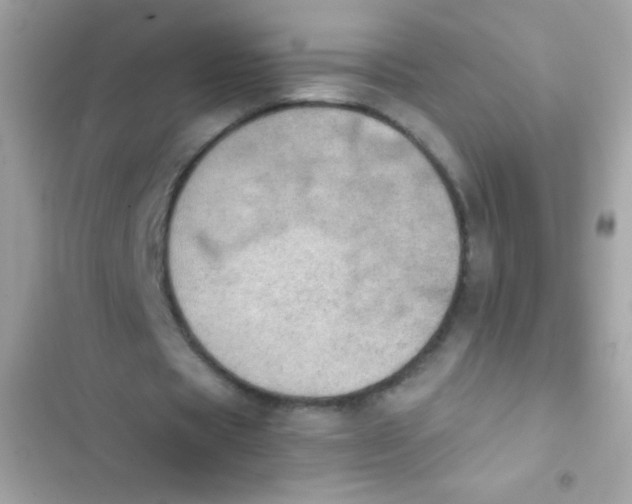 X0000103160529200809192055