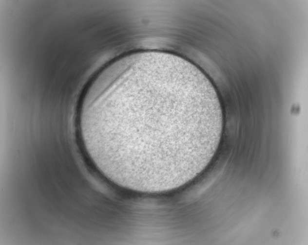 X0000103160530200809192055