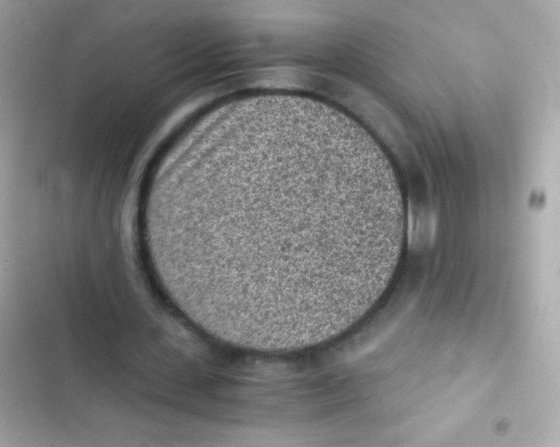 X0000103160531200809192055