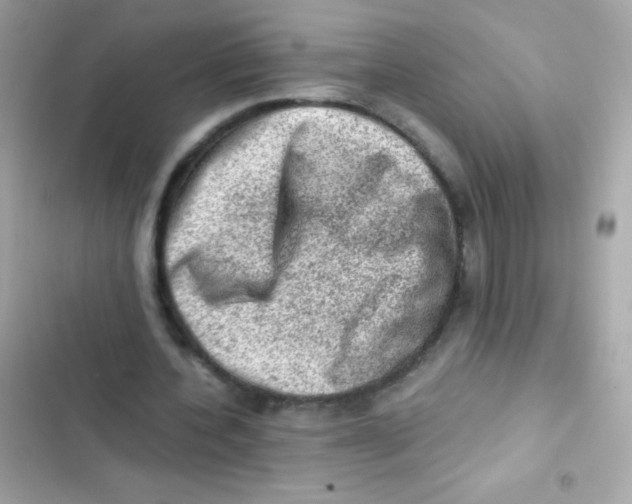 X0000103160532200809192055