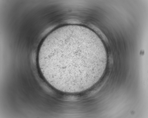 X0000103160533200809192055