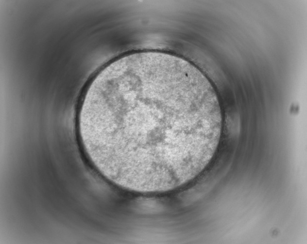 X0000103160534200809192055