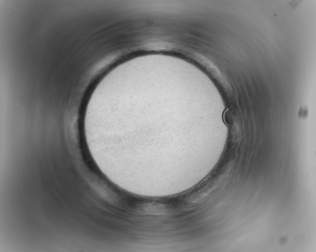 X0000103160535200809192055