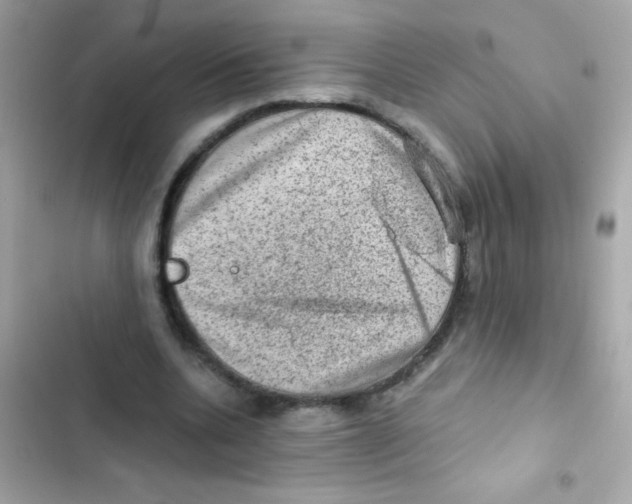 X0000103160536200809192055