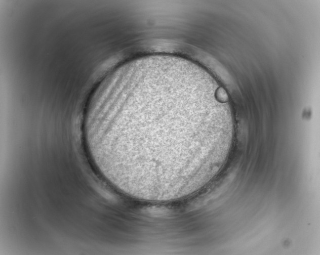 X0000103160537200809192055