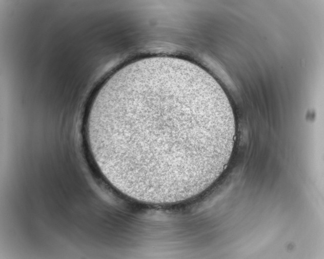 X0000103160538200809192055