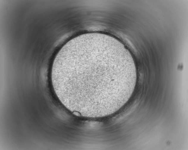 X0000103160539200809192055