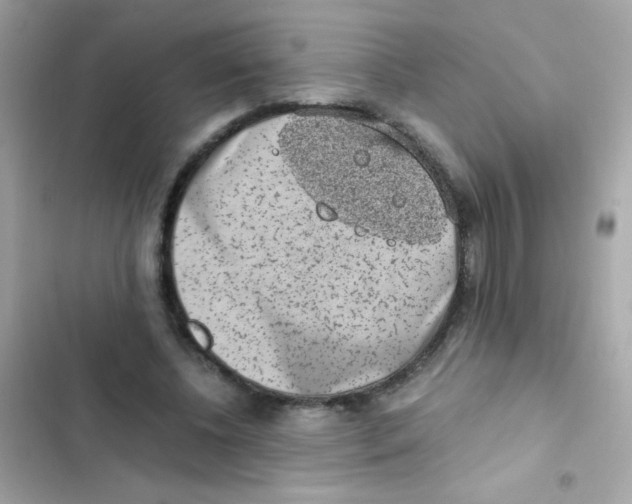X0000103160540200809192056