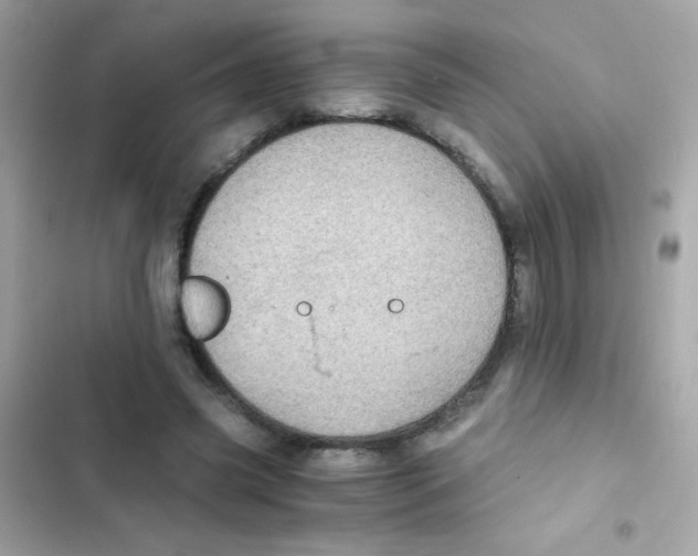 X0000103160541200809192056