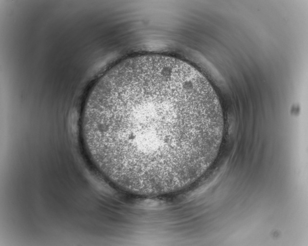 X0000103160542200809192056