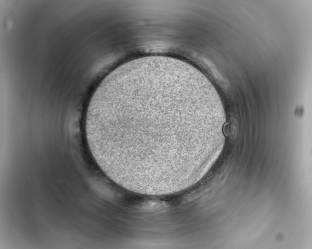 X0000103160543200809192056