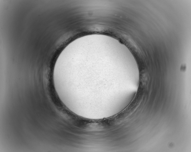 X0000103160544200809192056