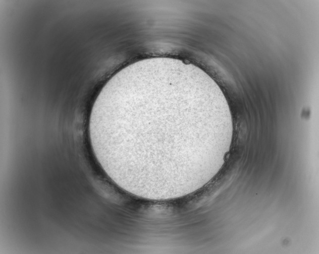 X0000103160546200809192056