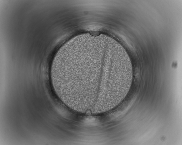 X0000103160547200809192056
