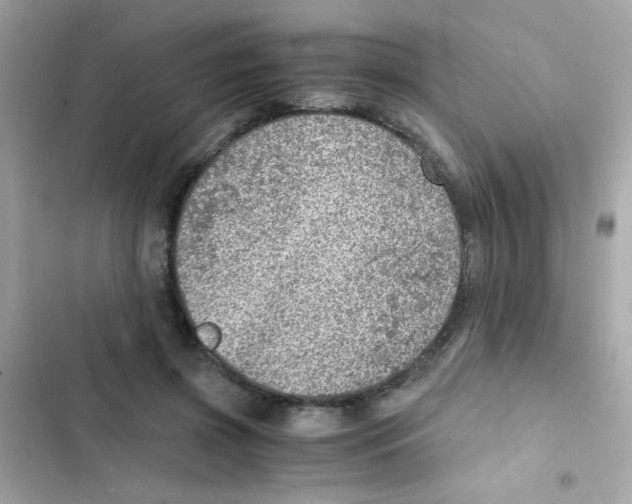 X0000103160549200809192056
