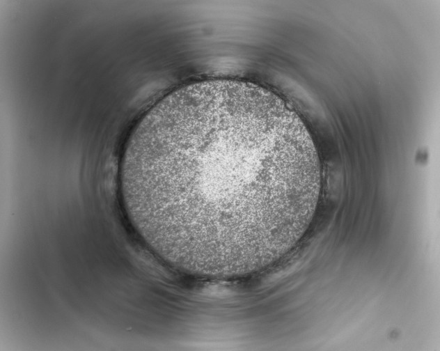 X0000103160550200809192056