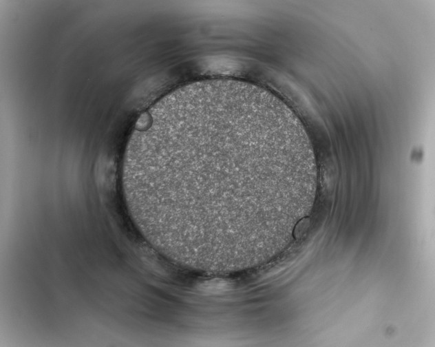 X0000103160551200809192056