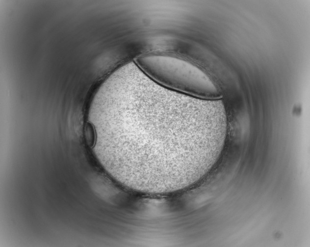 X0000103160552200809192056
