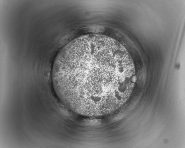 X0000103160553200809192056