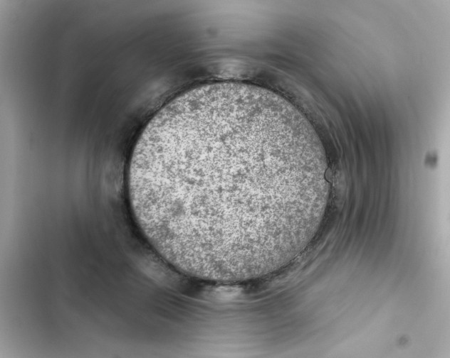 X0000103160554200809192056