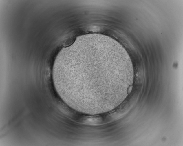 X0000103160555200809192056