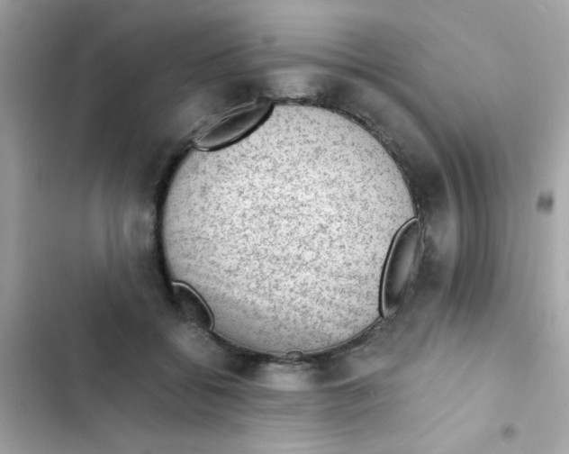 X0000103160556200809192056