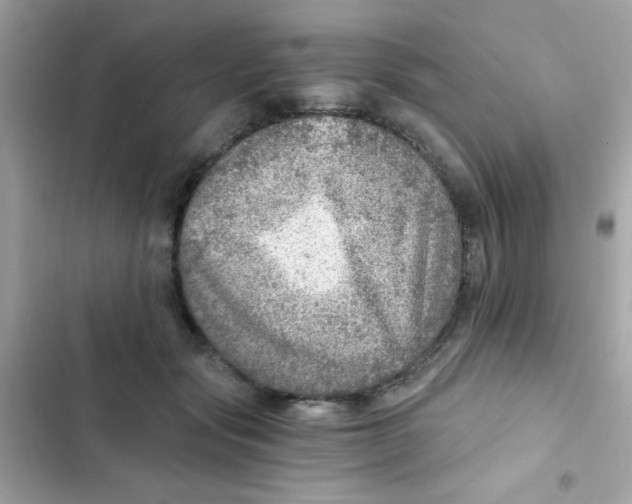 X0000103160557200809192056