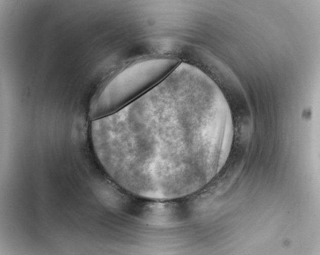 X0000103160558200809192056