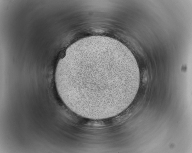 X0000103160559200809192056