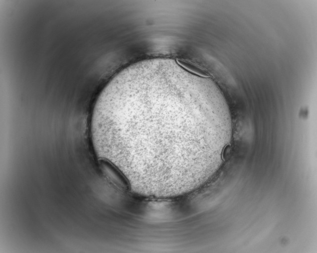X0000103160560200809192056