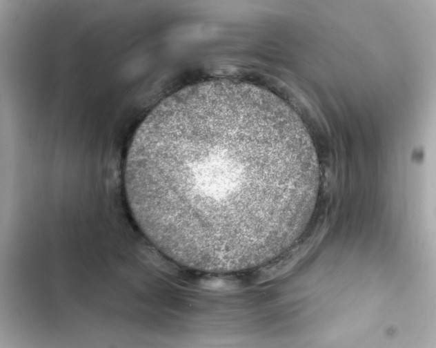 X0000103160561200809192056