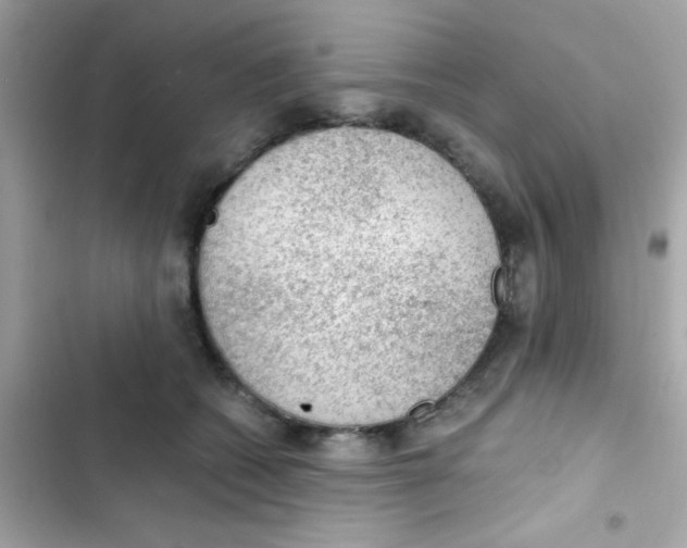 X0000103160562200809192056