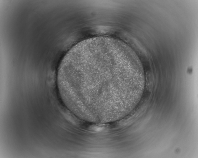 X0000103160563200809192056