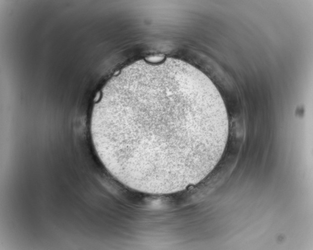 X0000103160564200809192056