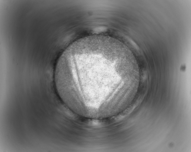 X0000103160565200809192056