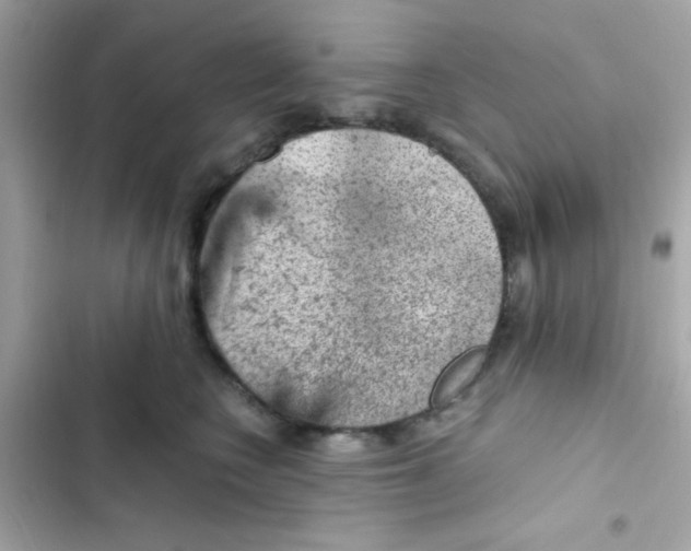 X0000103160566200809192056