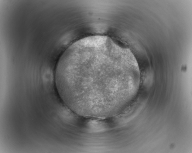 X0000103160568200809192056