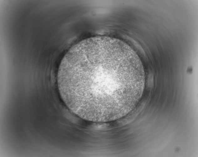 X0000103160569200809192056