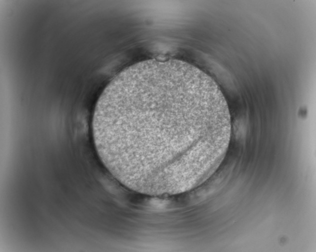 X0000103160570200809192056
