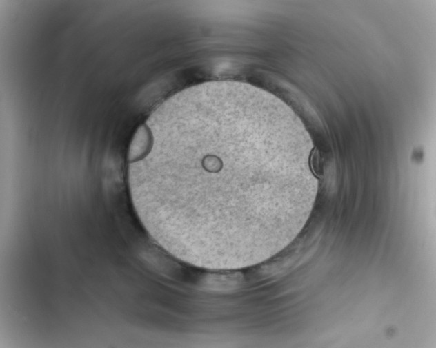 X0000103160571200809192056
